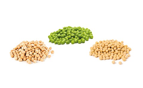 Foto: Einige Quellen für pflanzliche Proteine v. l. n. r.: Kichererbsen, Erbsen und Sojabohnen.